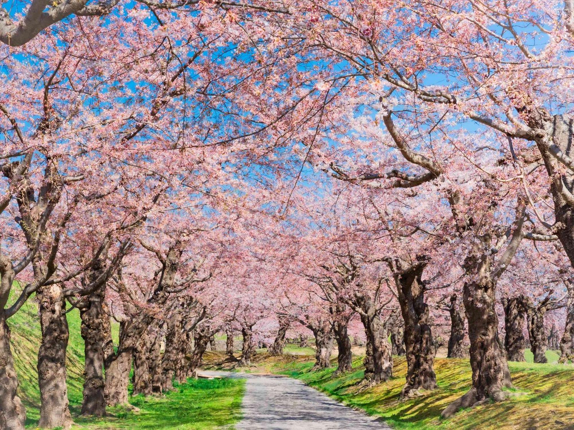 Gran Palette Hakodate Exteriör bild