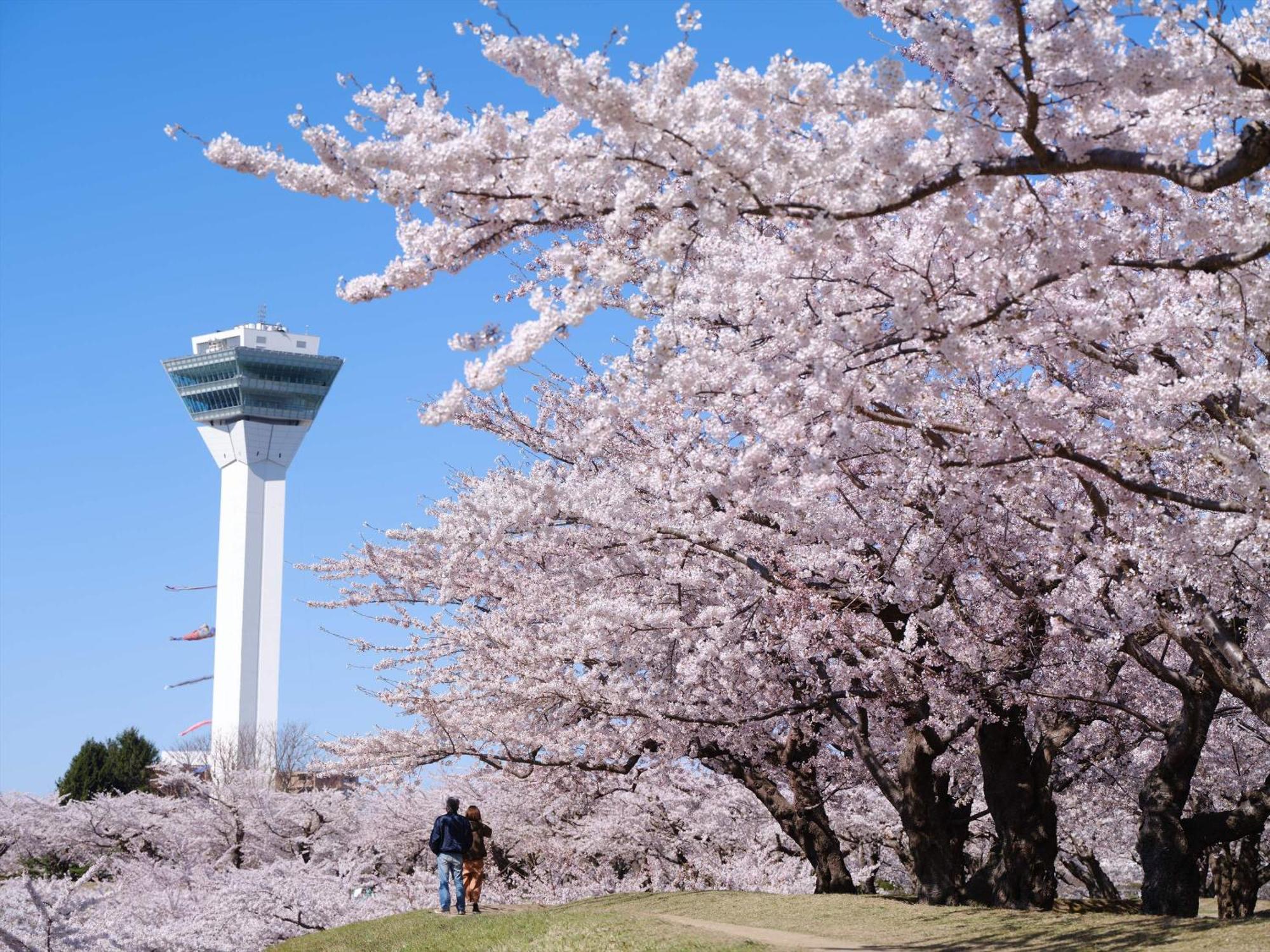 Gran Palette Hakodate Exteriör bild